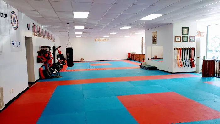 Dynamic Taekwondo Picture 4