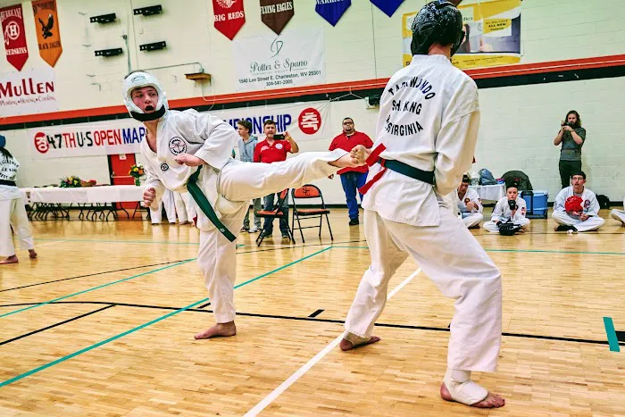 Dynamic Taekwondo Picture 10