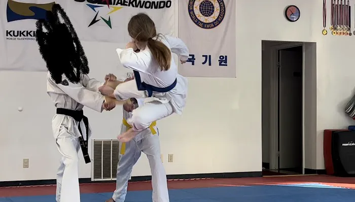 Dynamic Taekwondo Picture 2