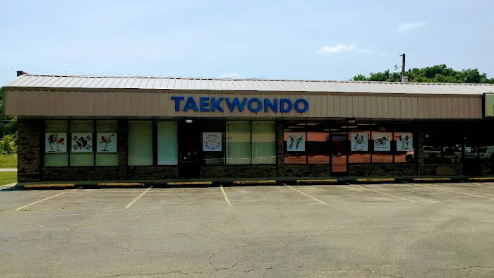 Dynamic Taekwondo Picture 5
