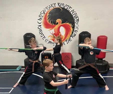 Chesapeake Karate Academy