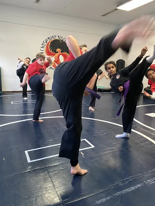 Chesapeake Karate Academy Picture 3