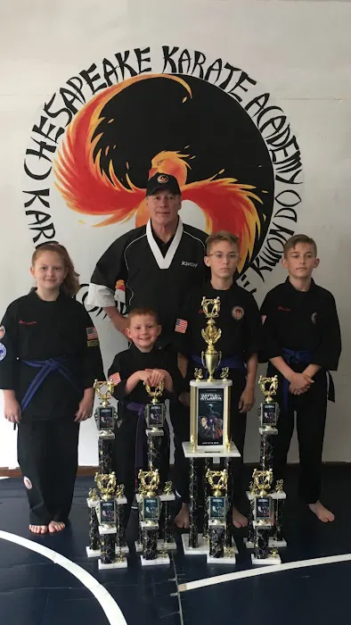 Chesapeake Karate Academy Picture 2
