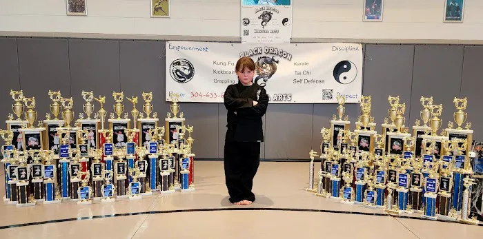 Black Dragon Martial Arts Picture 3