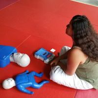 Power Source Martial Arts ico