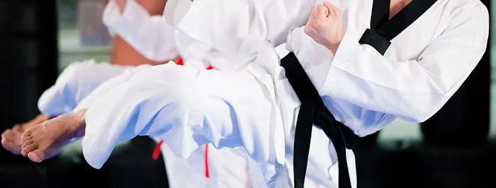 Phoenix Rising Karate Picture 4