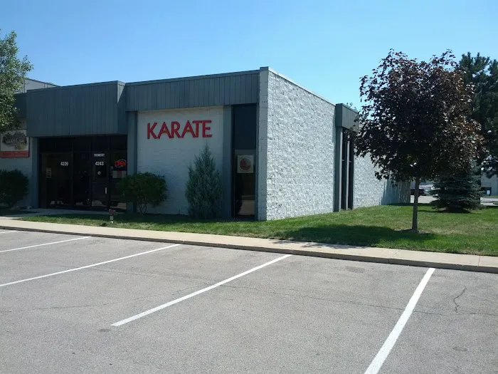 Phoenix Rising Karate Picture 3