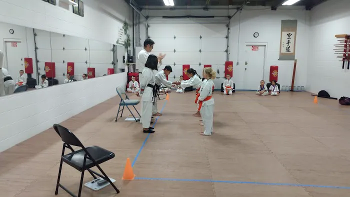 Phoenix Rising Karate Picture 8