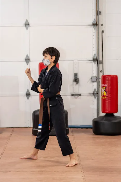 Phoenix Rising Karate Picture 9