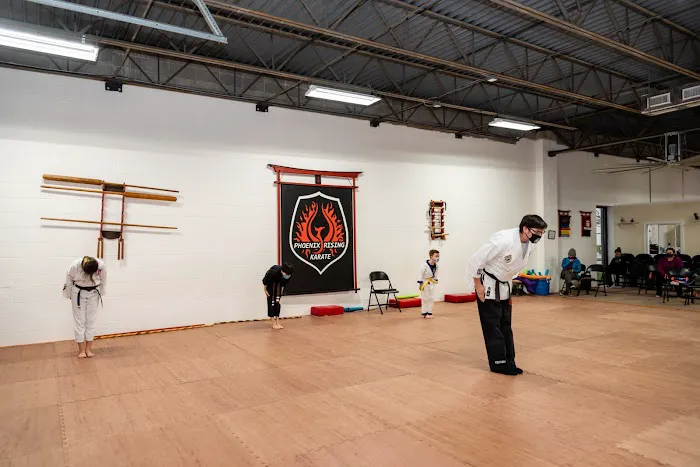 Phoenix Rising Karate Picture 2