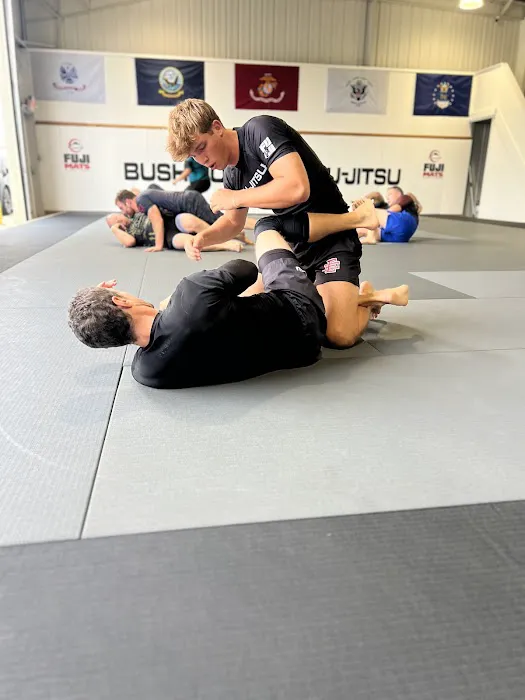 Bushido Jiu-Jitsu Picture 5