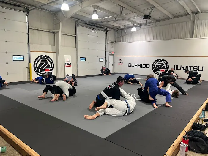 Bushido Jiu-Jitsu Picture 4