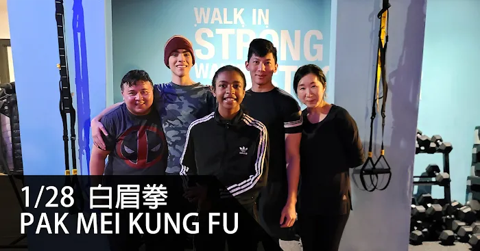 Mythic Combat Academy: PAK MEI Kung Fu Picture 10