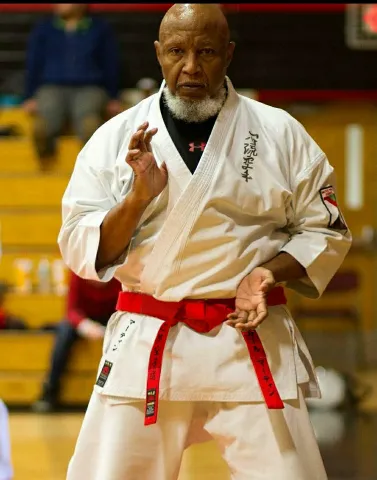 Traditional Okinawan Karate Picture 1