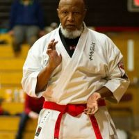 Traditional Okinawan Karate ico
