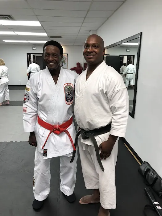 Traditional Okinawan Karate Picture 3