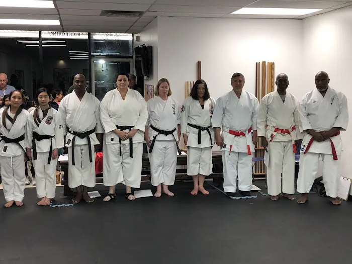 Traditional Okinawan Karate Picture 4