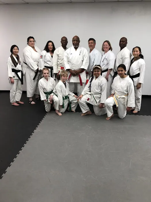 Traditional Okinawan Karate Picture 2