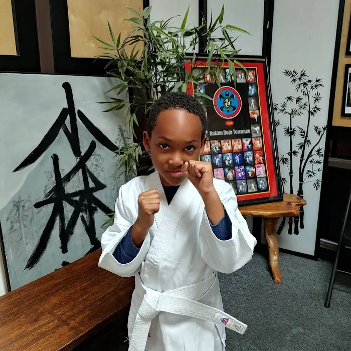 Kaizen Dojo Picture 10