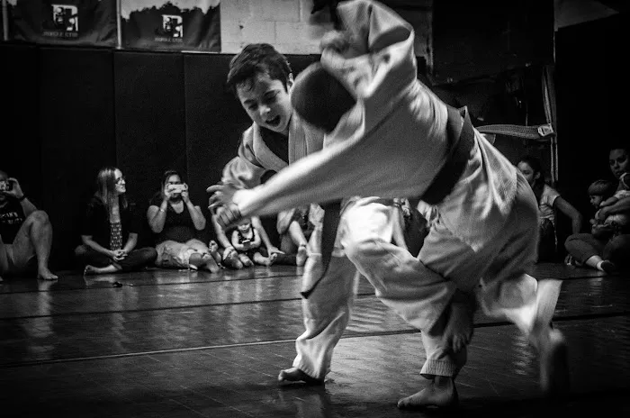 Jungle Gym Martial Arts Picture 9