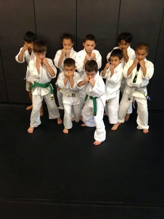 Jungle Gym Martial Arts Picture 8