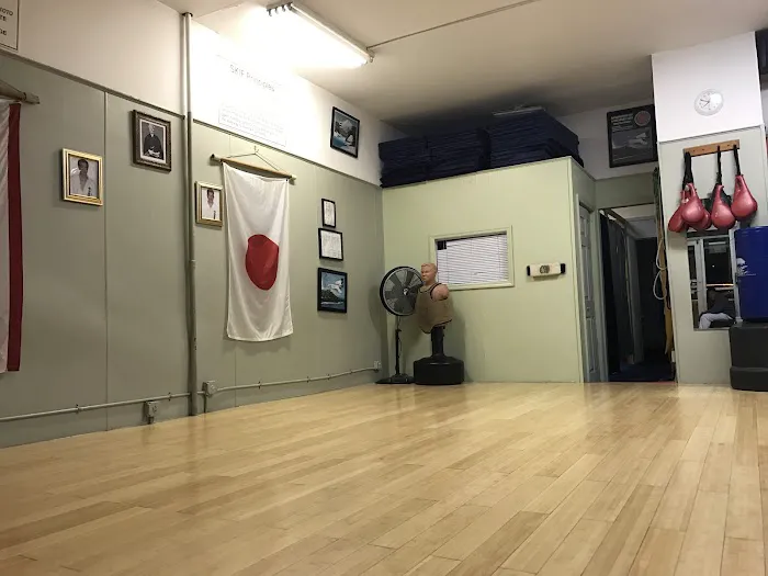 Mt Vernon Traditional Shotokan Karate-Do Picture 4