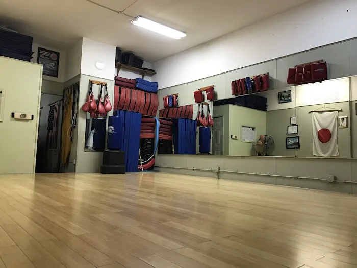 Mt Vernon Traditional Shotokan Karate-Do Picture 5