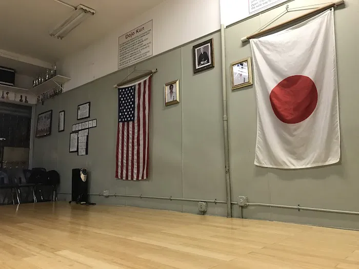 Mt Vernon Traditional Shotokan Karate-Do Picture 6