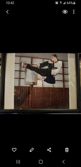 Warrior Scholar Martial Arts Picture 3