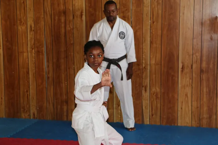 Traditional Karate Do Picture 2