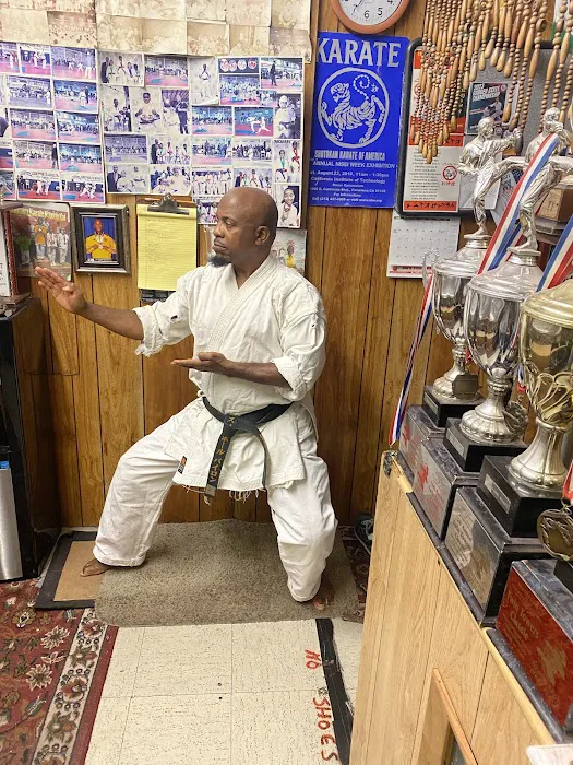 Traditional Karate Do Picture 4