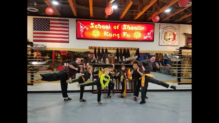School of Shaolin Kung Fu Picture 6