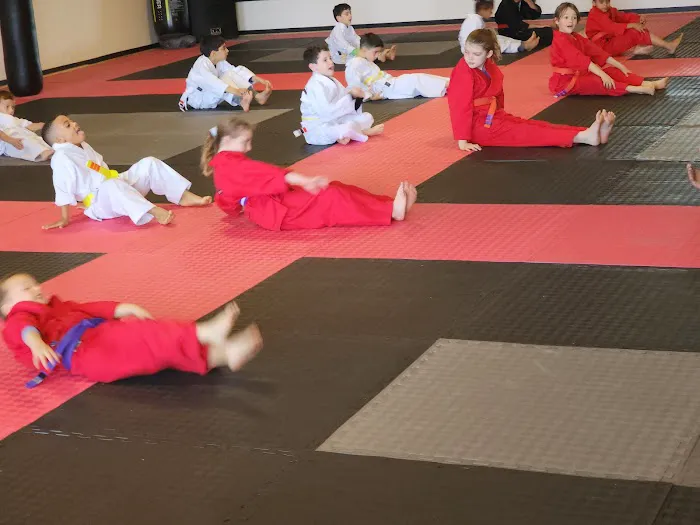 GTA Karate Family Martial Arts Center Picture 9