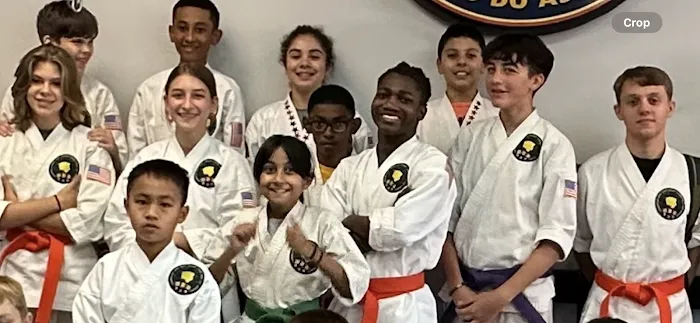 American Karate Academy Picture 4
