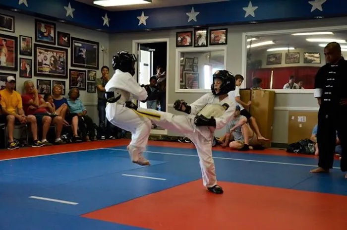 American Karate Academy Picture 1