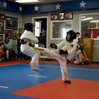 American Karate Academy ico