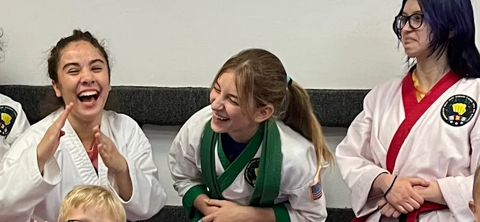 American Karate Academy Picture 9