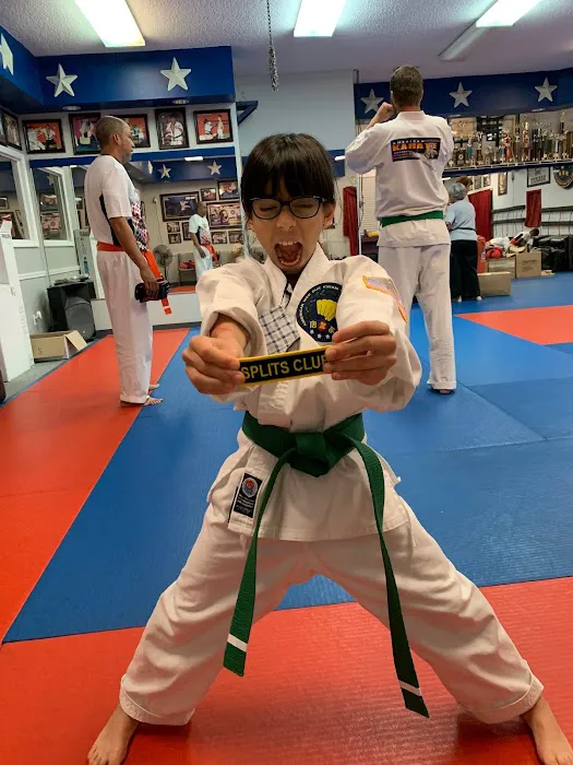 American Karate Academy Picture 2