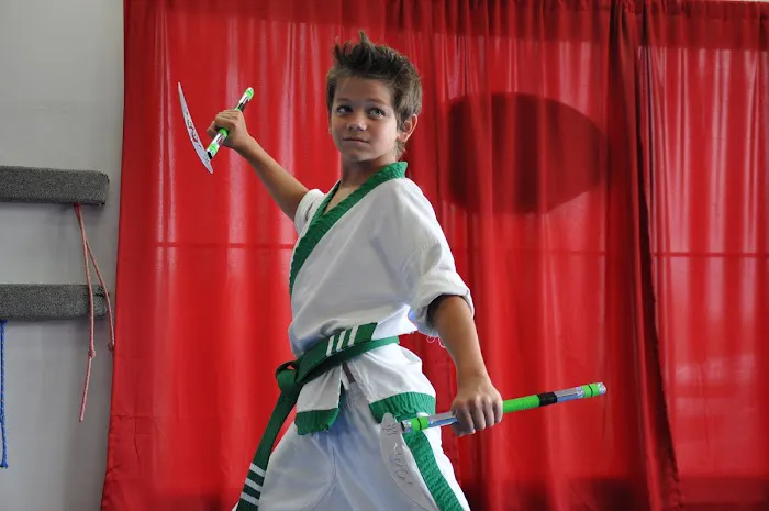 American Karate Academy Picture 8