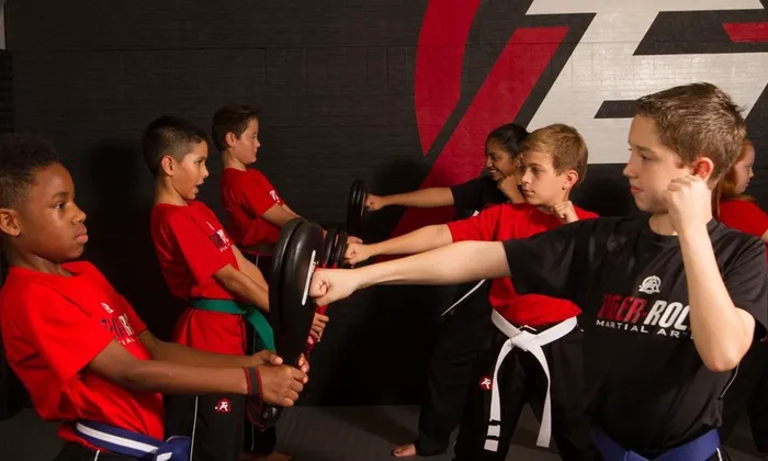 Tiger-Rock Martial Arts of Baton Rouge Picture 4