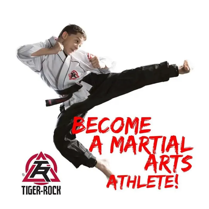 Tiger-Rock Martial Arts of Baton Rouge Picture 2