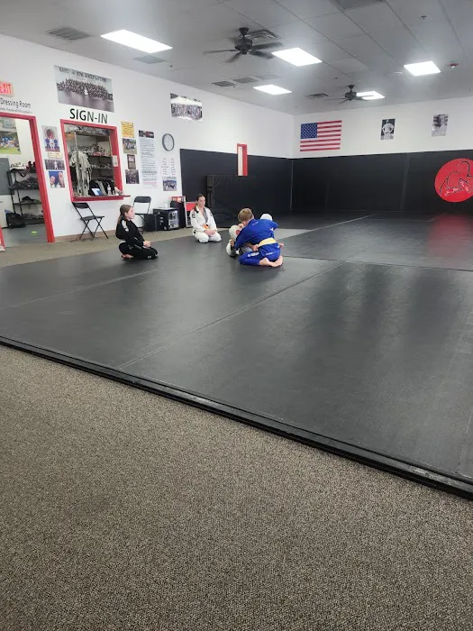 Bayou Jiu Jitsu & Self Defense Picture 2