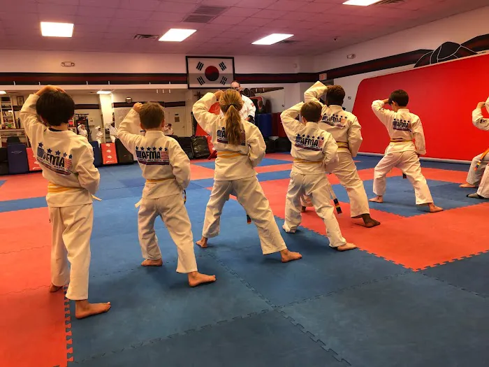 American Family Martial Arts Picture 6