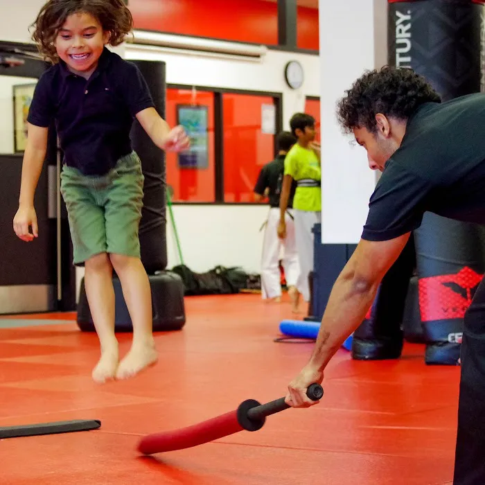 David Vincent's Martial Arts & Fitness Picture 10