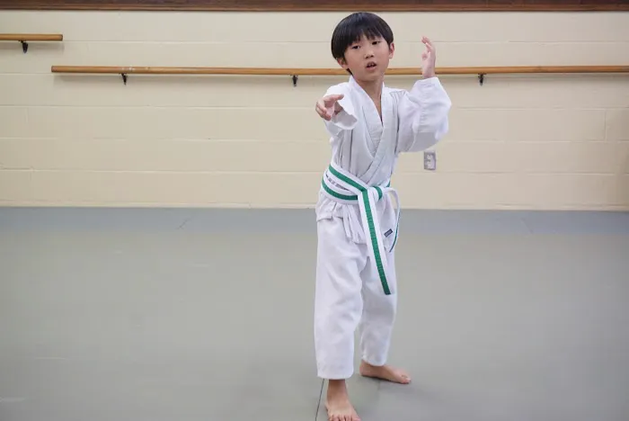 Kimm's Institute of Self-Defense Picture 2