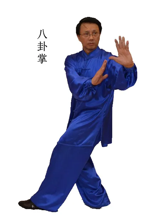 Zhuang’s Tai Chi & Kung Fu Academy Picture 5