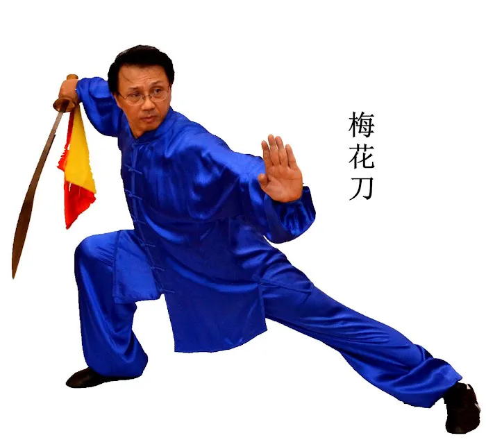 Zhuang’s Tai Chi & Kung Fu Academy Picture 3