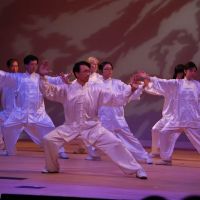 Zhuang’s Tai Chi & Kung Fu Academy ico