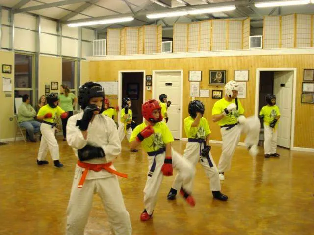 Tiger Martial Arts LLC Picture 4