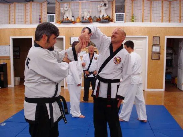 Tiger Martial Arts LLC Picture 1